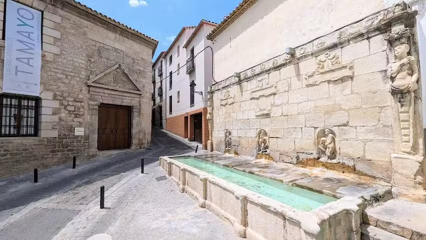 Apartamentos Los Ca&ntilde;os