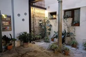 Apartamentos Los Lobos