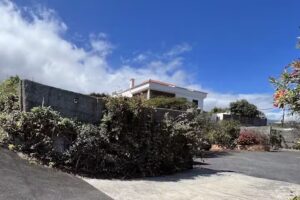 Apartamentos Los Palitos