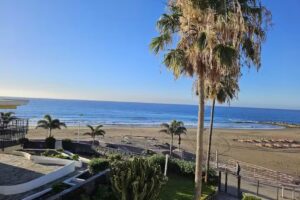 Apartamentos Los Papagayos