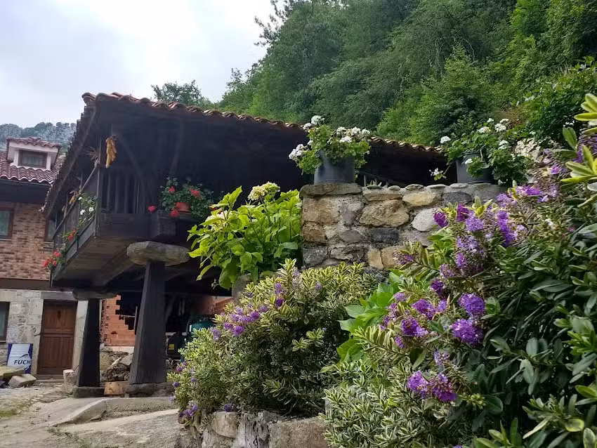 Apartamentos Los Rosales