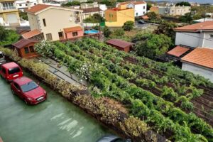 Apartamentos Los Verodes, El Hierro