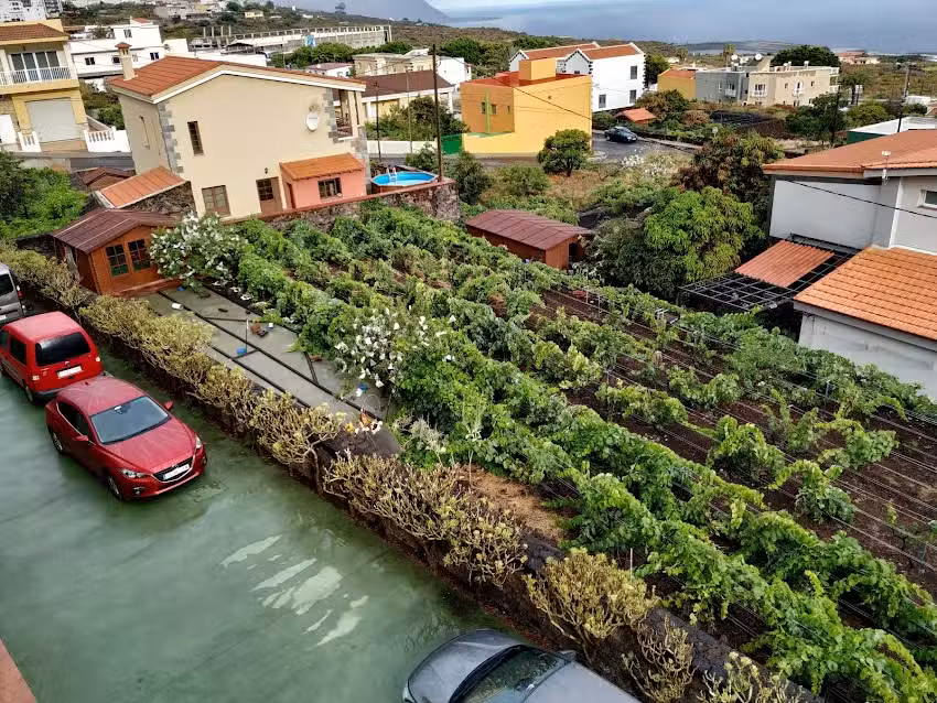 Apartamentos Los Verodes, El Hierro