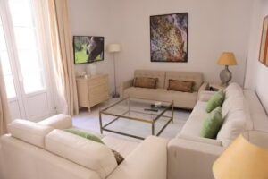 Apartamentos M&aacute;laga Emoci&oacute;n