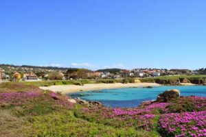 Apartamentos Mar de Plata