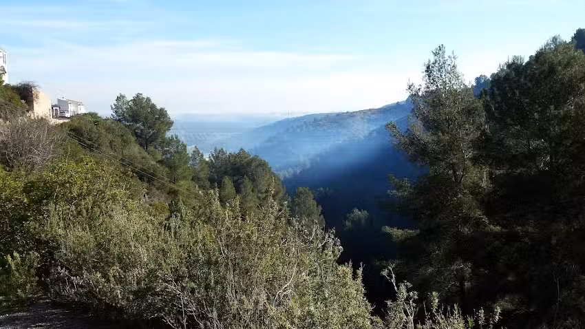 Apartamentos Mayordomo