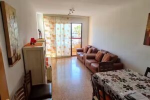 Apartamentos Milenio