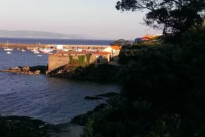 Apartamentos O Almacen