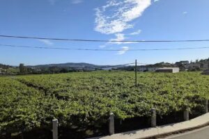 Apartamentos o castro