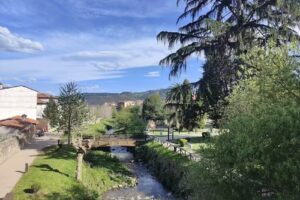 Apartamentos Pimo Plus La Pola