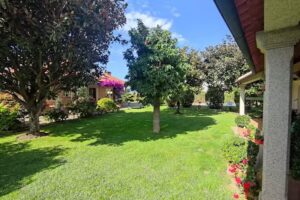 Apartamentos Playa de Rons