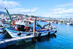 APARTAMENTOS POBRA-CASTELO