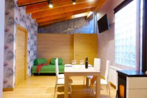 Apartamentos Ribera del Duero Reserva