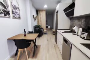 Apartamentos R&iacute;o Turia