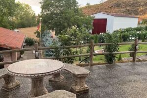 Apartamentos Rioja