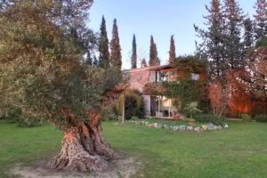 Apartamentos Roalcao 19