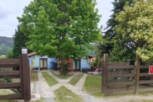 Apartamentos Rosa Jove