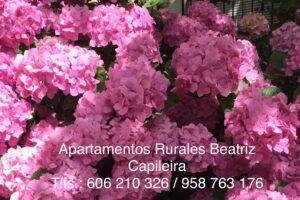 Apartamentos Rurales Beatriz