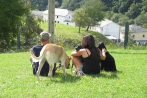 Apartamentos Rurales Casa El Caminero (Asturias)