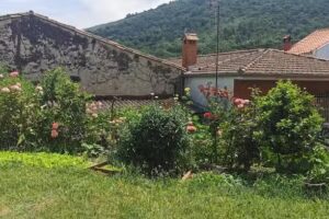 Apartamentos Rurales Casa Tener&iacute;as. La Casa del Aceite. Oleosetin