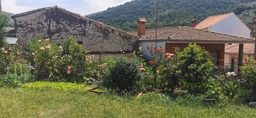 Apartamentos Rurales Casa Tener&iacute;as. La Casa del Aceite. Oleosetin