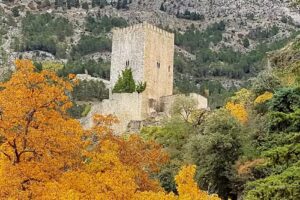 Apartamentos rurales El Alambique