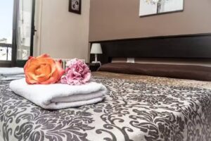 Apartamentos Tur&iacute;sticos &Aacute;vila &laquo;La Catedral&raquo;