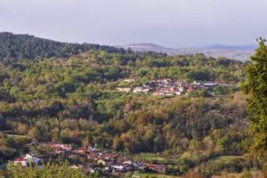 Apartamentos Turísticos Casa dos Pulidos.