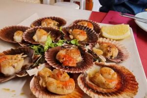 Apartamentos tur&iacute;sticos casa soto