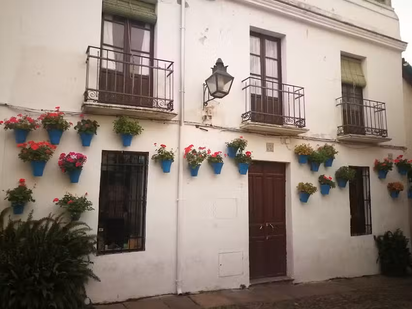 Apartamentos Tur&iacute;sticos C&eacute;spedescinco