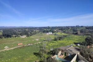 APARTAMENTOS TURÍSTICOS EL HUERTO