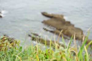 Apartamentos Tur&iacute;sticos El Pe&ntilde;&oacute;n