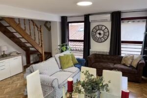 Apartamentos tur&iacute;sticos la ranita salmantina