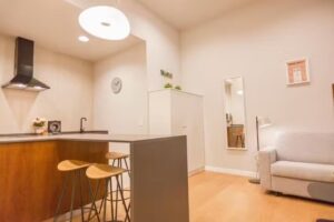 Apartamentos Tur&iacute;sticos. Monumental Building Casa de la Moneda Center & Sweet