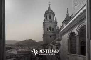 Apartamentos Tur&iacute;sticos Sentir Ja&eacute;n