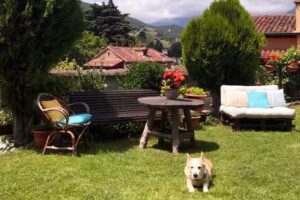 Apartamentos Villa Solana