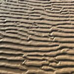 Apartamentos Vistamar