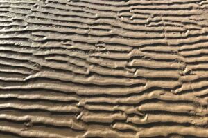 Apartamentos Vistamar