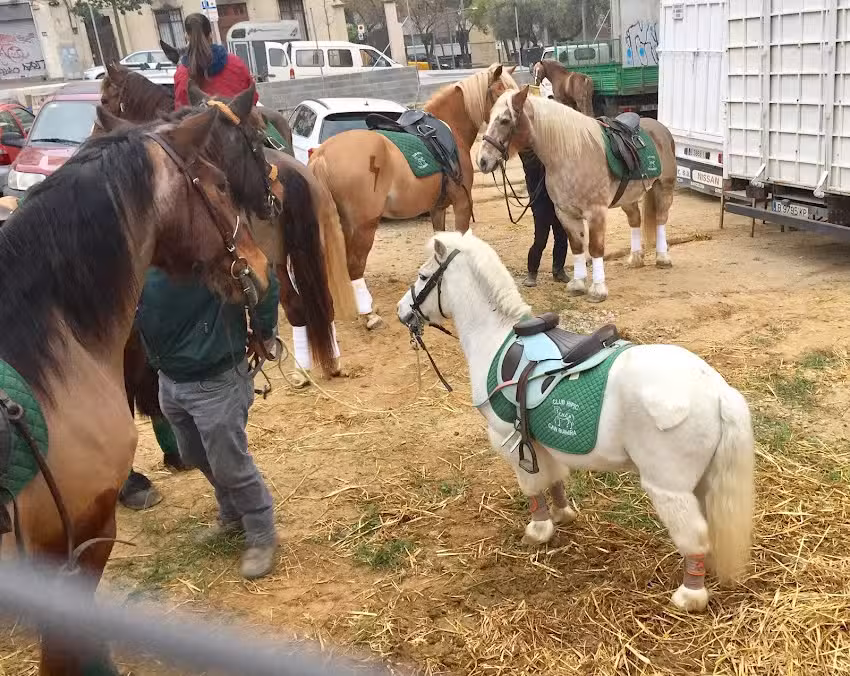 Apartaments Dirsa Parc Guell