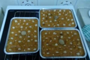 Apartaments l&rsquo;arrel