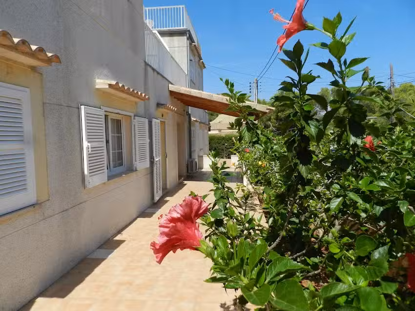 Apartaments Marina Sol i Pins