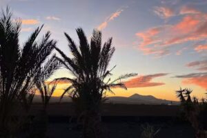 Apartment Casa Urubú