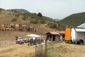 Area de autocaravanas,camper y caravanas