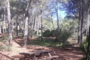 &Aacute;rea de esparcimiento Aliguetes