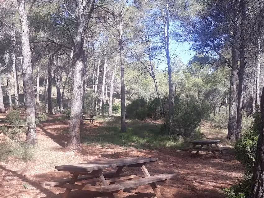 &Aacute;rea de esparcimiento Aliguetes