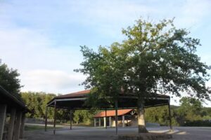 AREA DE SERVICIO AUTOCARAVANA