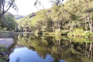 Area Descanso y ba&ntilde;o