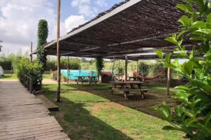 &Agrave;rea Mass&iacute;s del Montgr&iacute; Camper Park