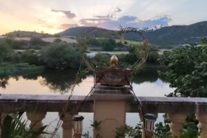 ArtMignon Terrace LVI00063