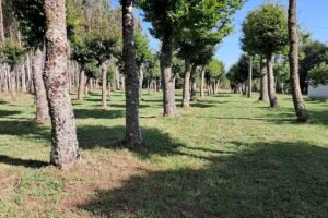 As casi&ntilde;as do Alto